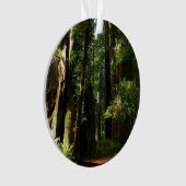 Redwood en Ferns in Redwood National Park Ornament (voorkant)