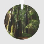 Redwood en Ferns in Redwood National Park Ornament (achterkant)