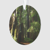 Redwood en Ferns in Redwood National Park Ornament (voorkant)