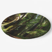 Redwood en Ferns in Redwood National Park Papieren Bordje (Gekanteld)