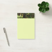 Redwood en Ferns in Redwood National Park Post-it® Notes (Kantoor)