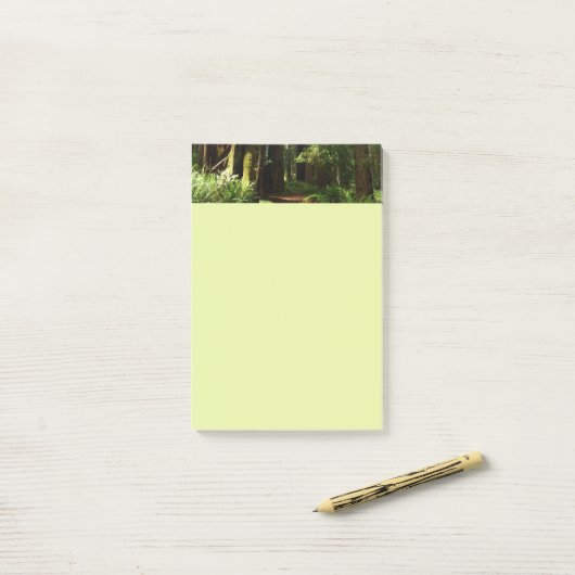 Redwood en Ferns in Redwood National Park Post-it® Notes (Op bureau)