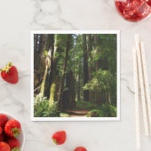 Redwood en Ferns in Redwood National Park Servet (Insitu)