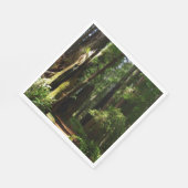 Redwood en Ferns in Redwood National Park Servet (Hoek)