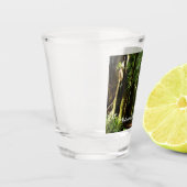 Redwood en Ferns in Redwood National Park Shot Glas (Links)