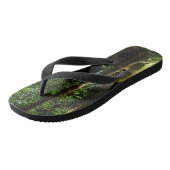 Redwood en Ferns in Redwood National Park Teenslippers (Schuin)