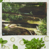 Redwood en Ferns in Redwood National Park Theedoek (Gevouwen)