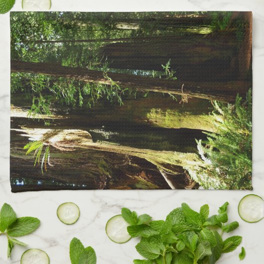 Redwood en Ferns in Redwood National Park Theedoek (Gevouwen)