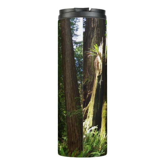 Redwood en Ferns in Redwood National Park Thermosbeker (Achterkant)