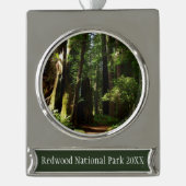 Redwood en Ferns in Redwood National Park Verzilverd Banner Ornament (Voorkant)