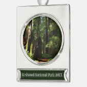 Redwood en Ferns in Redwood National Park Verzilverd Banner Ornament (Links)