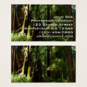 Redwood en Ferns in Redwood National Park Visitekaartje (Voorkant /achterkant)