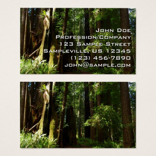 Redwood en Ferns in Redwood National Park Visitekaartje (Voorkant /achterkant)