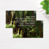 Redwood en Ferns in Redwood National Park Visitekaartje (Bureau)