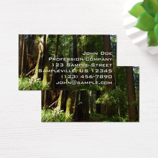Redwood en Ferns in Redwood National Park Visitekaartje (Bureau)