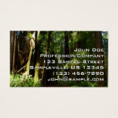Redwood en Ferns in Redwood National Park Visitekaartje (Voorkant)
