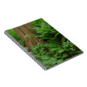 Redwood & Ferns notitieboek (Rechterzijde)
