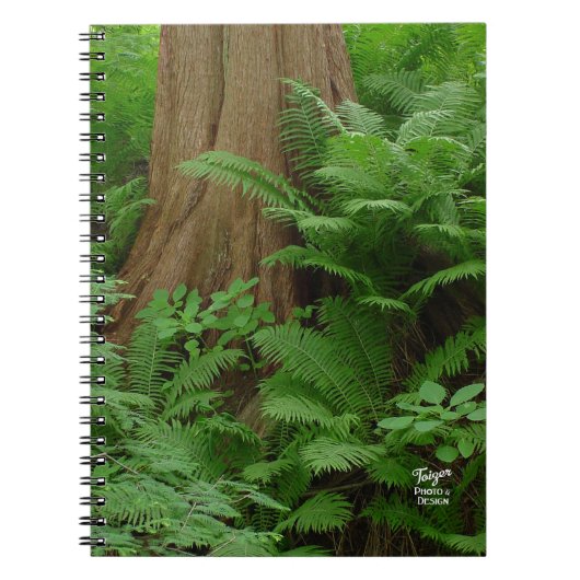 Redwood & Ferns notitieboek (Voorkant)