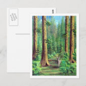 Redwood Forest Briefkaart (Voorkant / Achterkant)