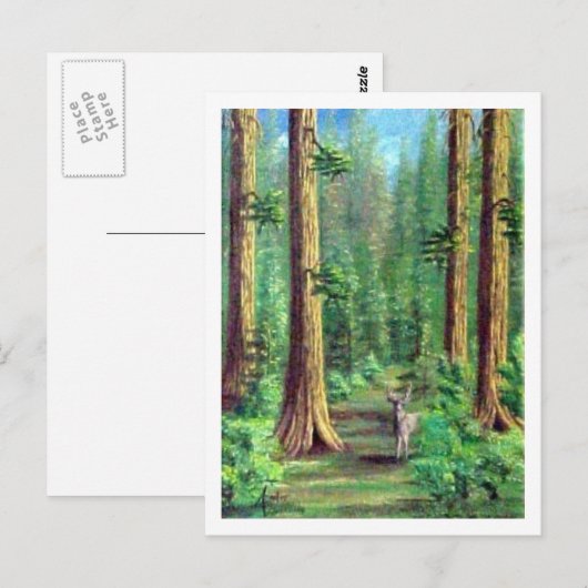 Redwood Forest Briefkaart (Voorkant / Achterkant)