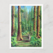 Redwood Forest Briefkaart (Voorkant)
