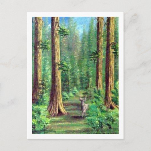 Redwood Forest Briefkaart (Voorkant)