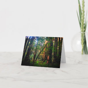 Redwood Forest Card Kaart
