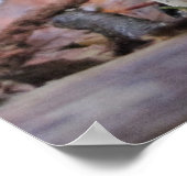 Redwood Forest Fungi Poster (Hoek)