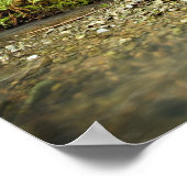 Redwood Forest Glen Poster (Hoek)