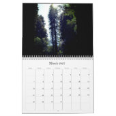 Redwood Forest Kalender (Mar 2027)