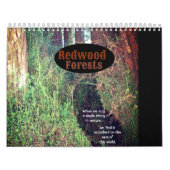 Redwood Forest Kalender (Hoes)