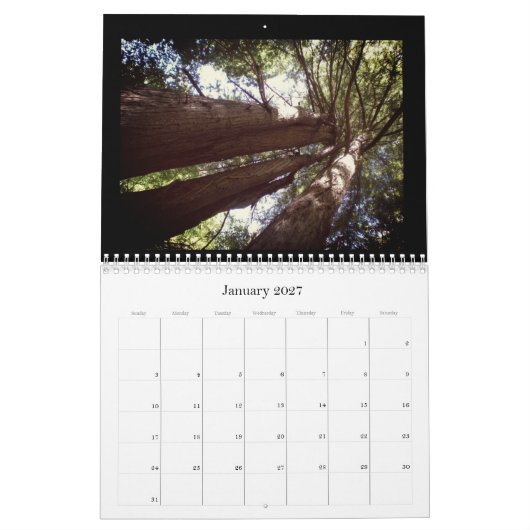 Redwood Forest Kalender (Jan 2027)