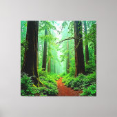 Redwood Forest Misty Tranquility Design Canvas Afdruk (Voorkant)