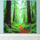 Redwood Forest Misty Tranquility Design Canvas Afdruk (Insitu (Houten vloer))