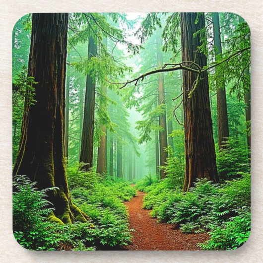 Redwood Forest Misty Tranquility Ontwerp Bier Onderzetter (Voorkant)