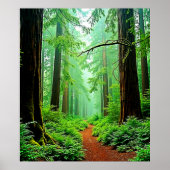 Redwood Forest Misty Tranquility Ontwerp Poster (Voorkant)