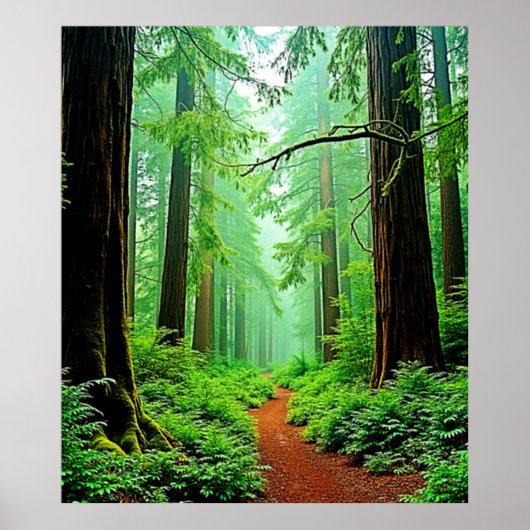 Redwood Forest Misty Tranquility Ontwerp Poster (Voorkant)