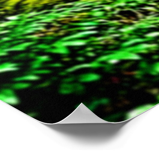 Redwood Forest Misty Tranquility Ontwerp Poster (Hoek)