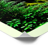 Redwood Forest Misty Tranquility Ontwerp Poster (Hoek)