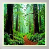 Redwood Forest Misty Tranquility Ontwerp Poster (Voorkant)