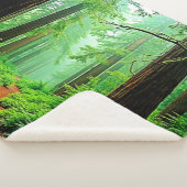 Redwood Forest Misty Tranquility Ontwerp Sherpa Deken (3/4)