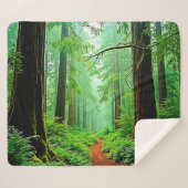 Redwood Forest Misty Tranquility Ontwerp Sherpa Deken (Voorkant (horizontaal))