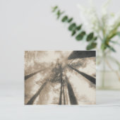 Redwood Forest, Noord Californië Briefkaart (Staand voorkant)