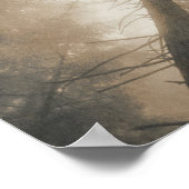 Redwood Forest, Noord Californië Poster (Hoek)