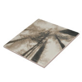 Redwood Forest, Noord-Californië Tegeltje (Zijkant)