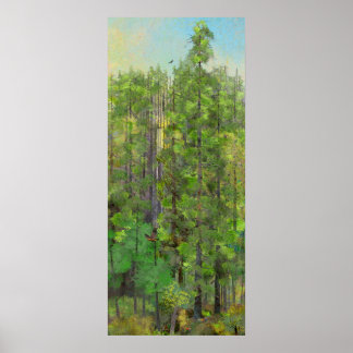 Redwood Forest Poster