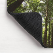 Redwood Forest, Rotorua, Nieuw-Zeeland 2 Muismat (Hoek)