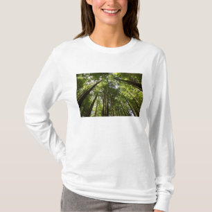 Redwood Forest, Rotorua, Nieuw-Zeeland 2 T-shirt