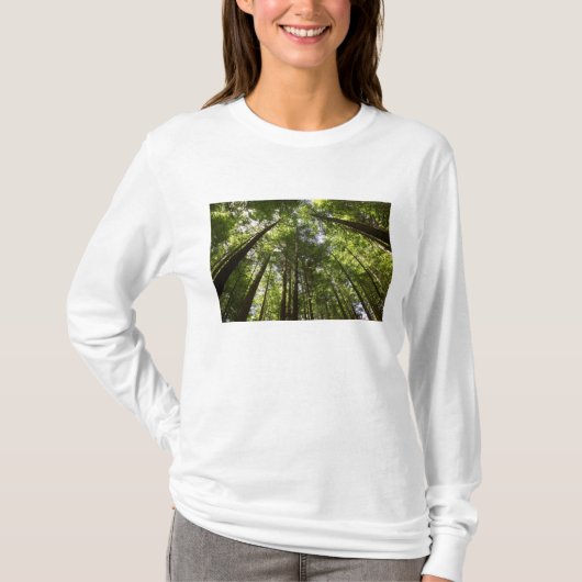 Redwood Forest, Rotorua, Nieuw-Zeeland 2 T-shirt (Voorkant)