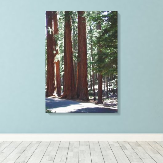 Redwood Forest Sequoia Tree Wall Art Canvas Afdruk (Insitu (Houten vloer))
